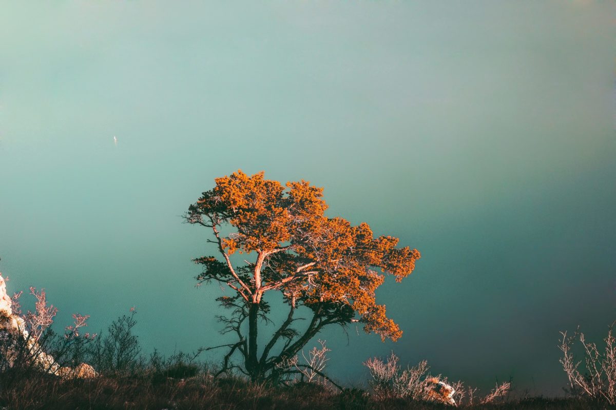 May 15, 2022 Collab Salon: Fiction as witnessing practice
